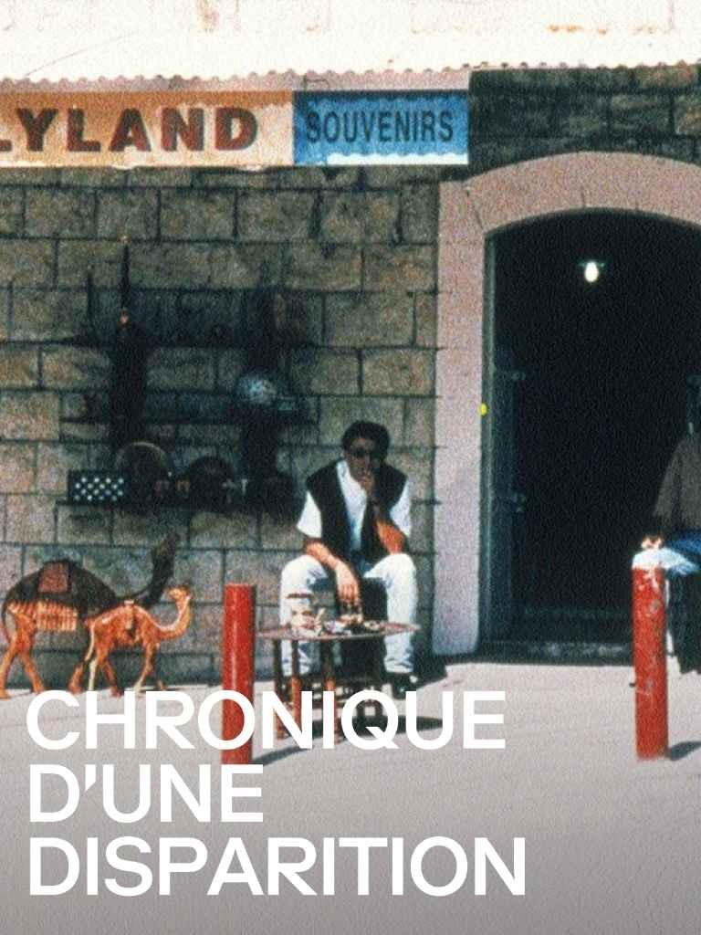 cinematheque-ideale-des-banlieues-du-monde-chronique-dune-disparition_download.jpg