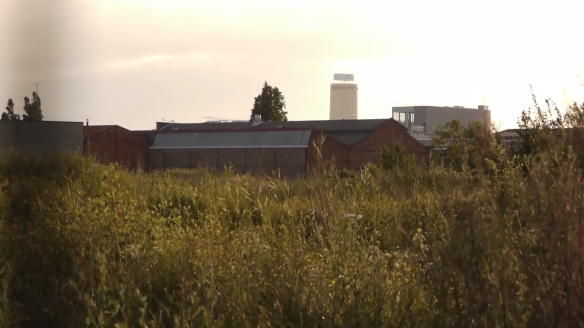 cinematheque-ideale-des-banlieues-du-monde-un-archipel_unarchipel2.png