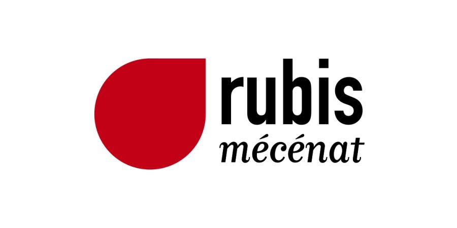 cinematheque-ideale-des-banlieues-du-monde-workshop-jeune-creation_logo-rubis-mecenat-coul-900x.jpg